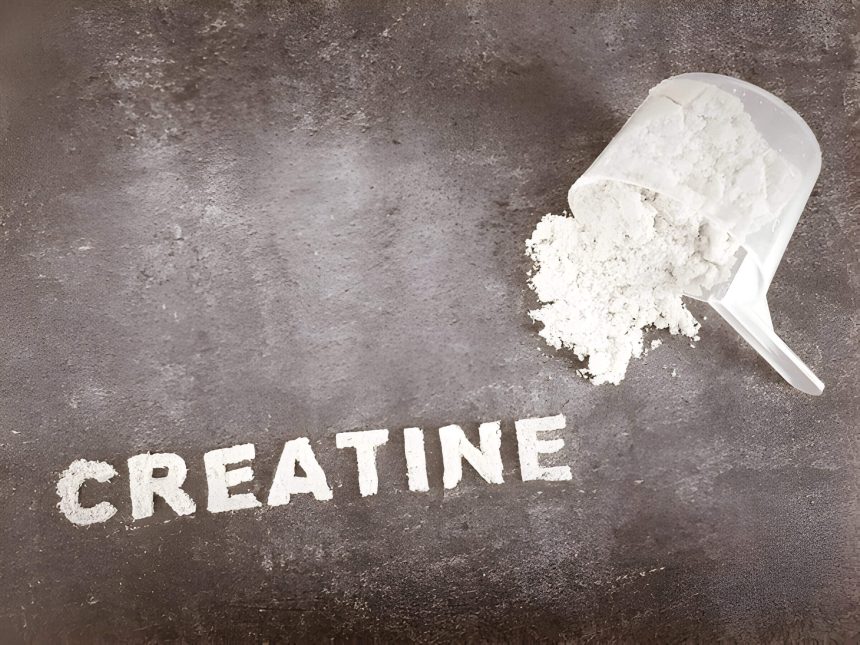 Does Creatine Help You Lose Weight Understanding The Facts And Myths